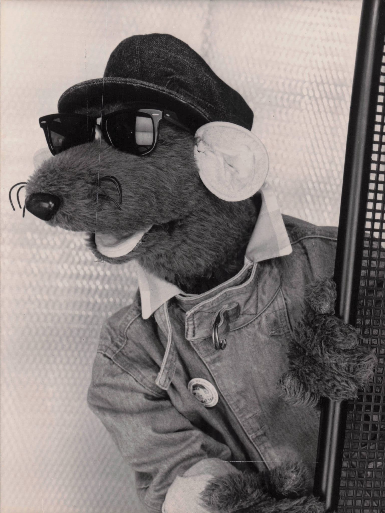 Roland Rat Of TVAM Breakfast Television 1985 BBC TV Press Photo