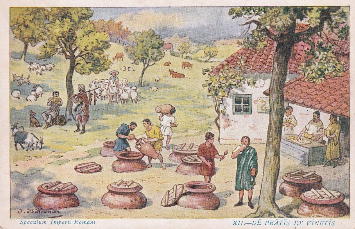 Roman Barbeque Italian Postcard Latin Old School Trading Card