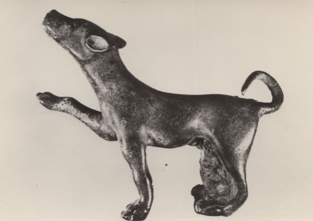 Roman Bronze Dog Miniature Antique Sculpture Welsh Museum Postcard