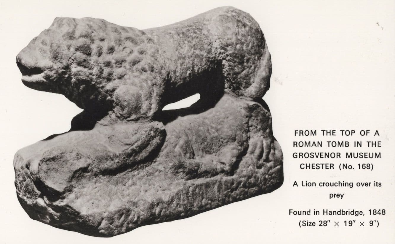 Roman Lion Eating Its Prey Vintage Rome Statue Chester Postcard