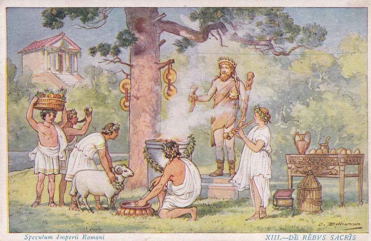 Roman Sheep Toga Speculum Forum Antique School Latin Card