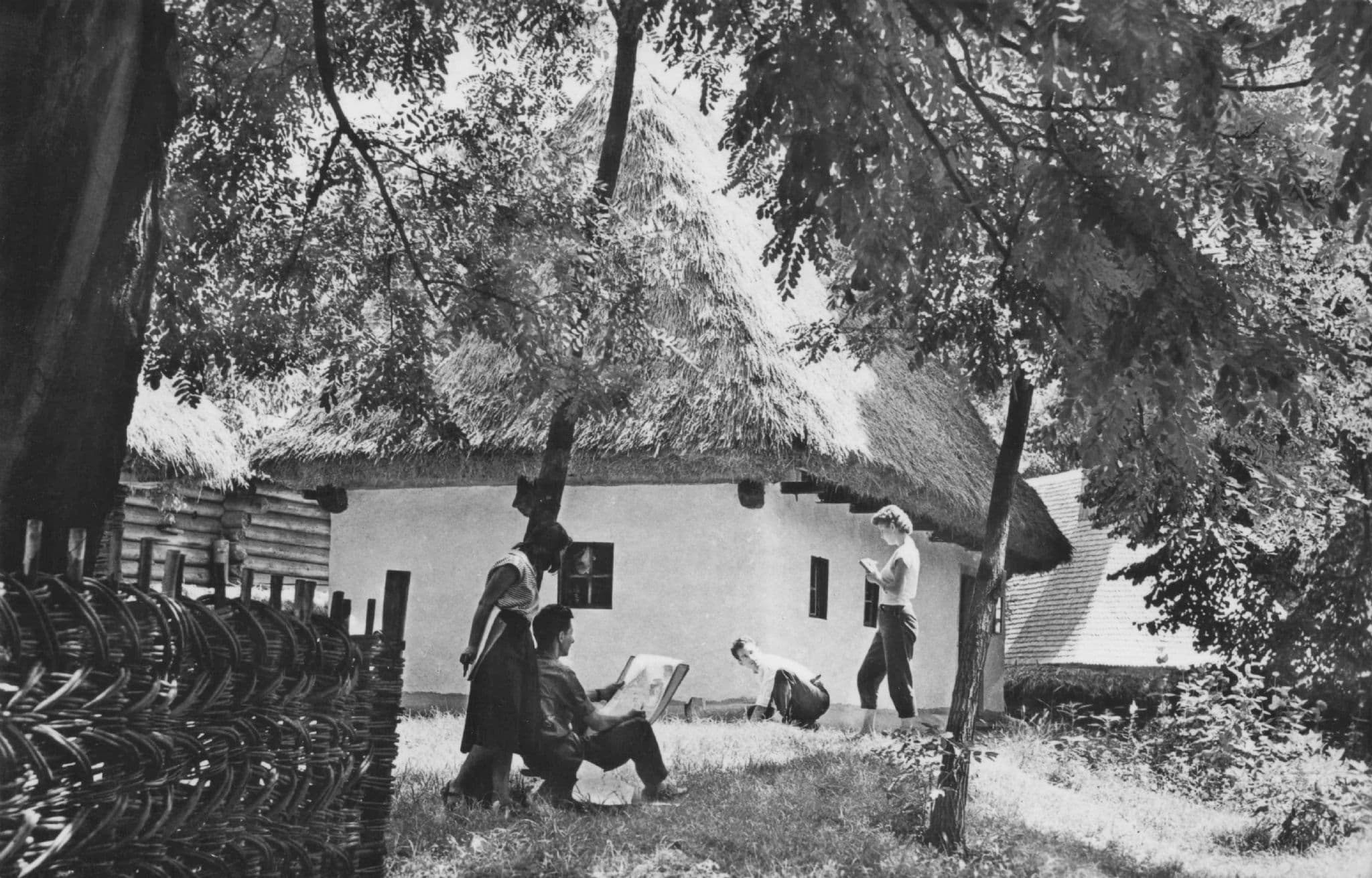 Romania Casa Taraneasca Dumitra Raion Alba Romania Postcard