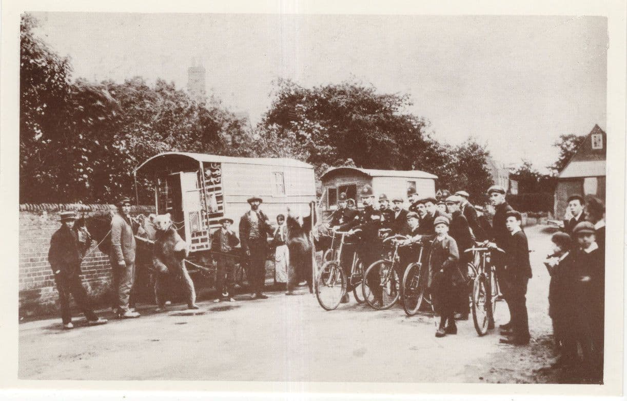 Romany Gipsy Gipsies & Caravan Bicycles In Surrey RPC Postcard