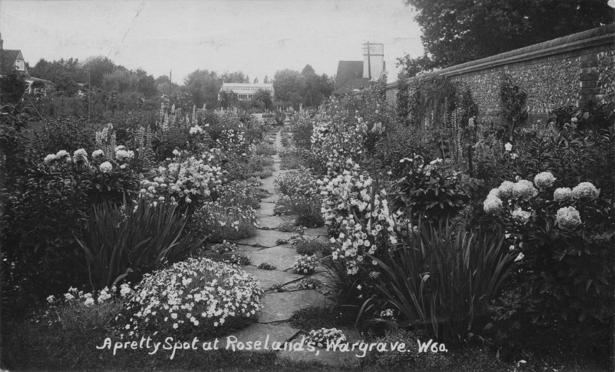 Roselands Wargrave Berkshire A Pretty Spot Old RPC Postcard