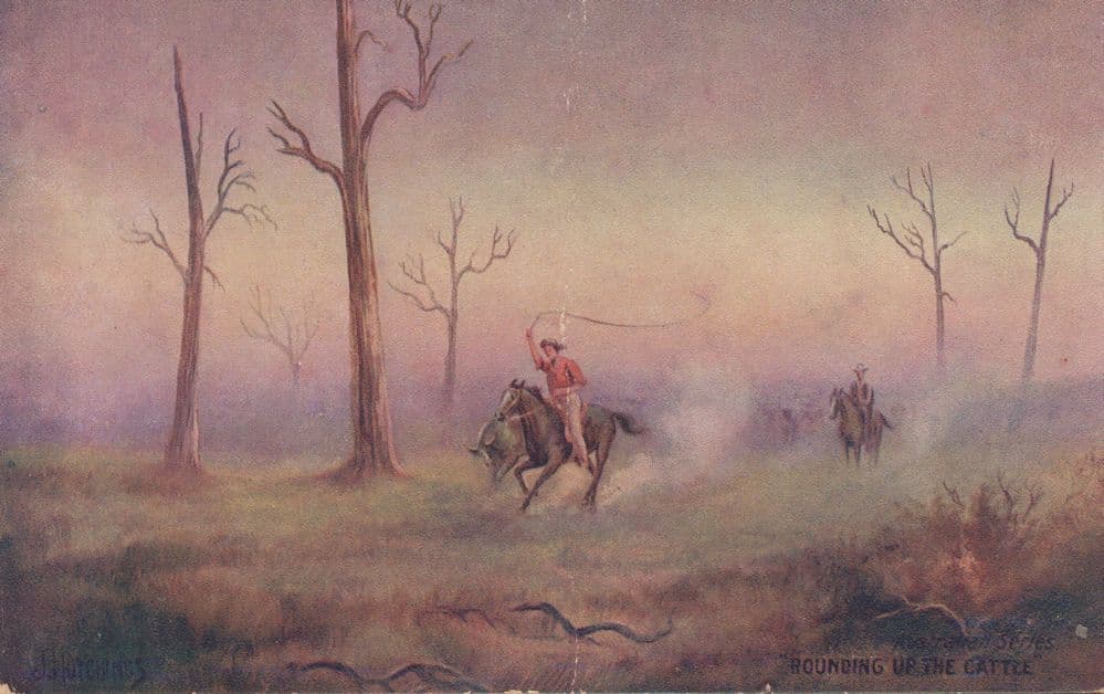 Rounding Up The Cattle Cowboy With Lasso Rope Antique Postcard