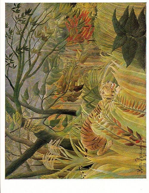 Rousseau Tropical Storm With A Tiger Rare Art National Gallery Painting Postcard
