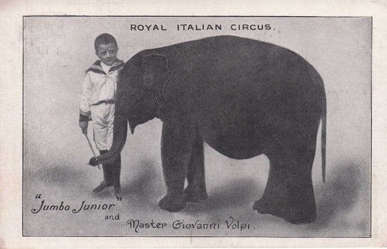 Royal Italian Circus Jumbo Elephant & Boy Trainer Antique Visitor Postcard