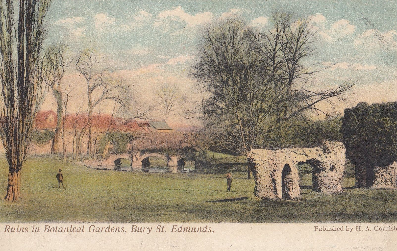 Ruins in Botanical Gardens Bury St Edmunds Old Postcard