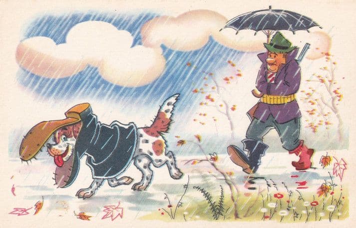 Russian Dog Wearing Giant Boot Shoe Russia Comic Humour Postcard