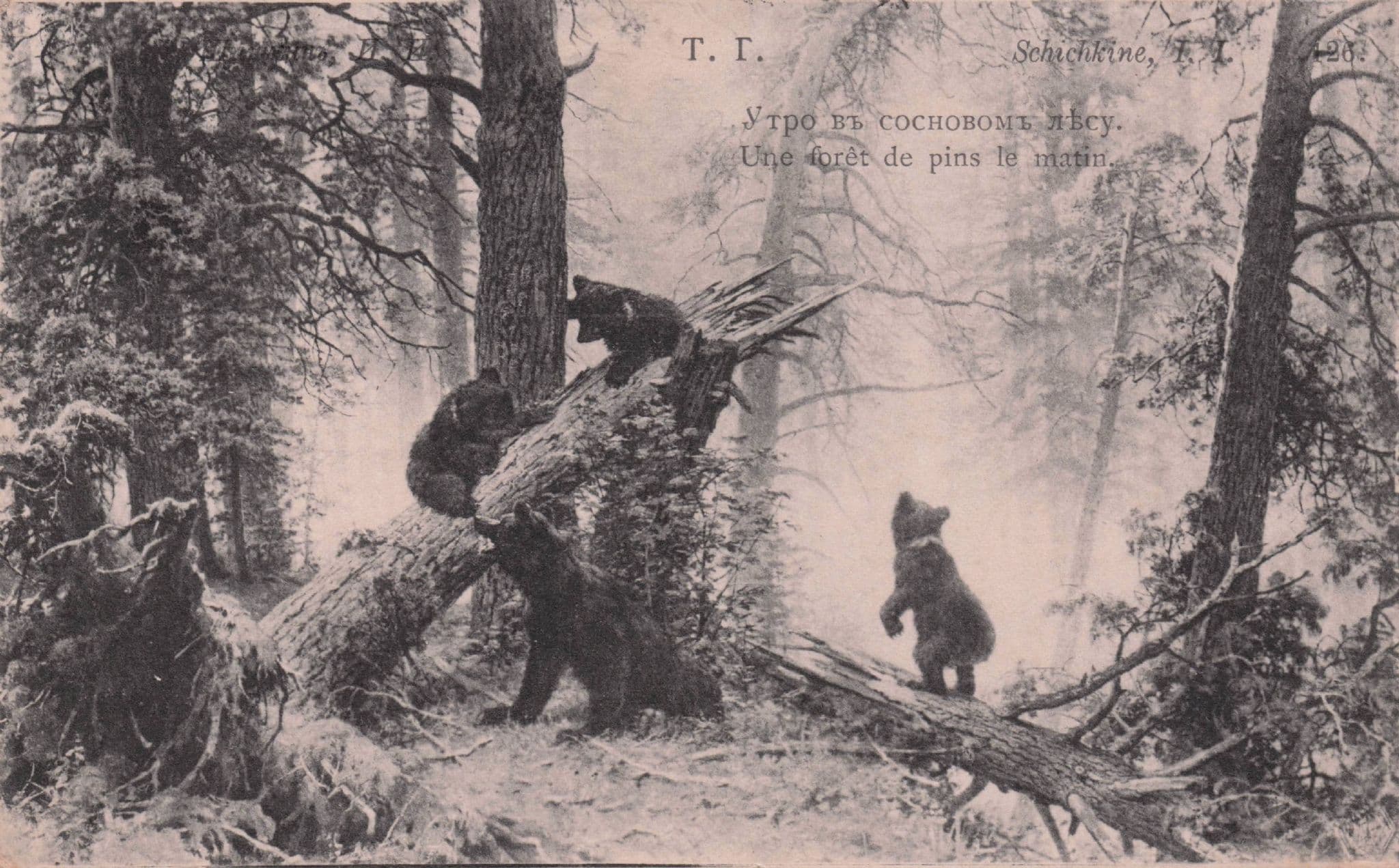 Russian Forest Bears Wildlife Antique 1909 Soviet Postcard