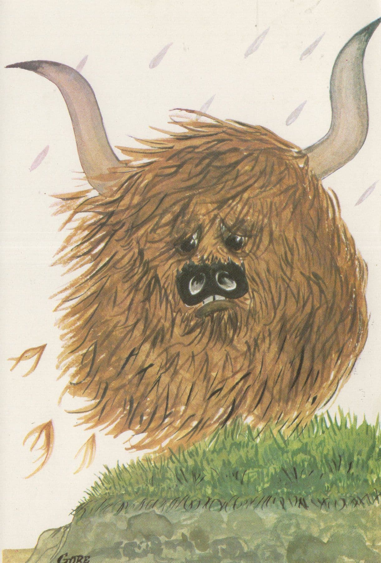 Sad Life & Camera Photos Of Highland Cow Painting Postcard