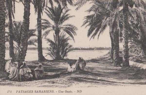 Sahara Desert Sand Oasis Antique Fashion Robes Postcard