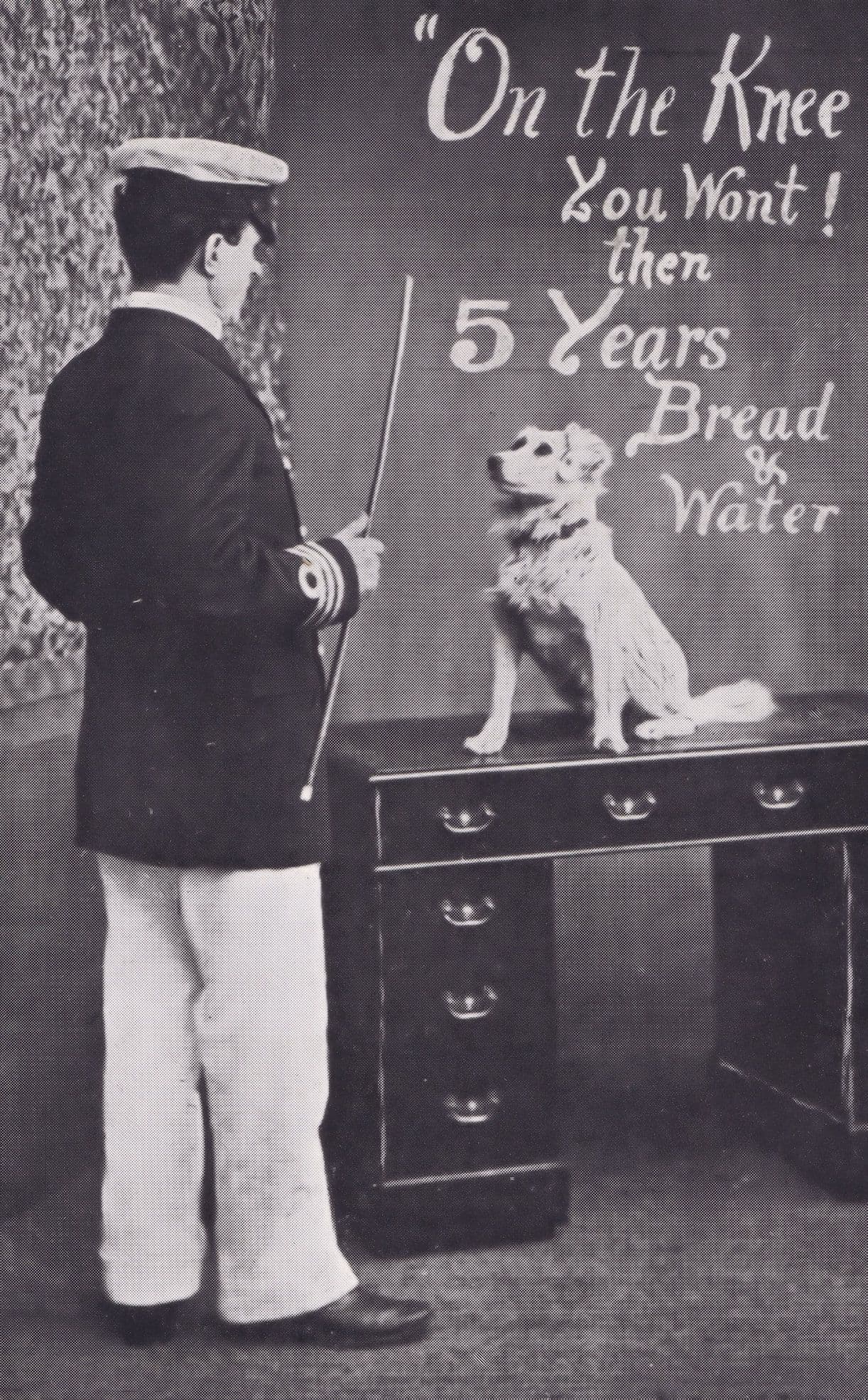 Sailor & Dog Military Training Bread & Water Rations Stick Antique Dogs Postcard