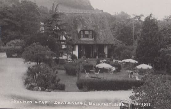 Salmon Leap Dartbridge Umbrellas In Garden Devon Vintage Real Photo Postcard