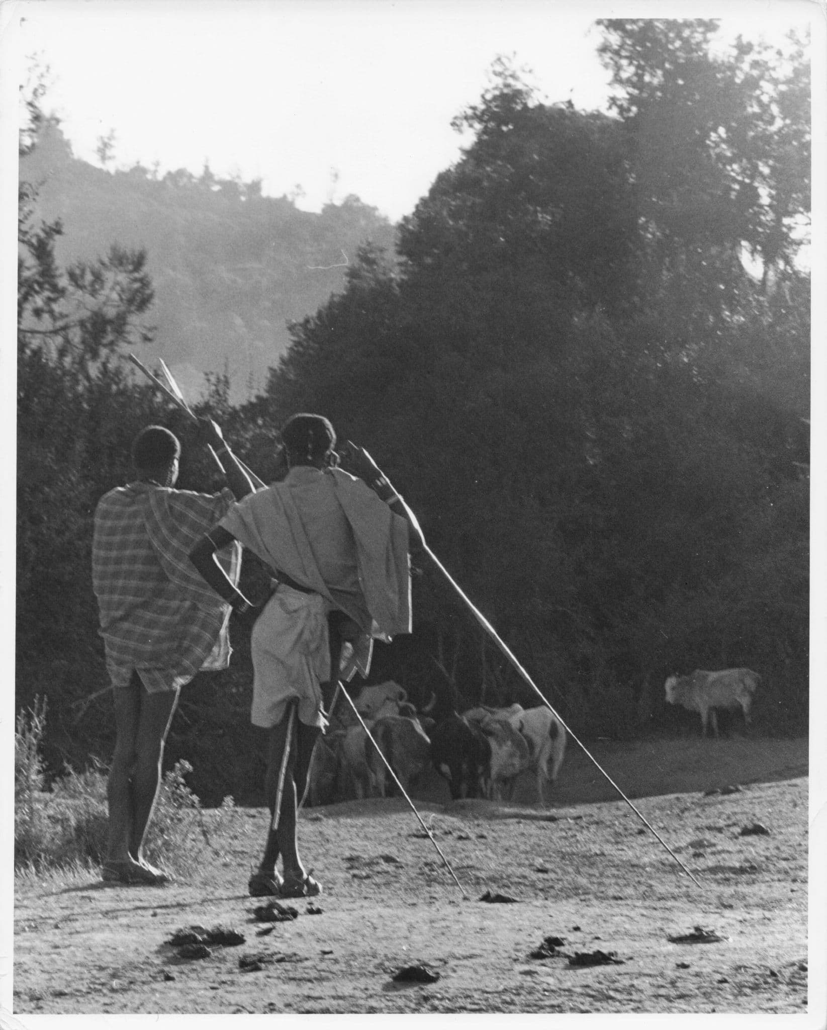 Samburu Women Forest Africa 10x8 Kenya Vintage Large Photo