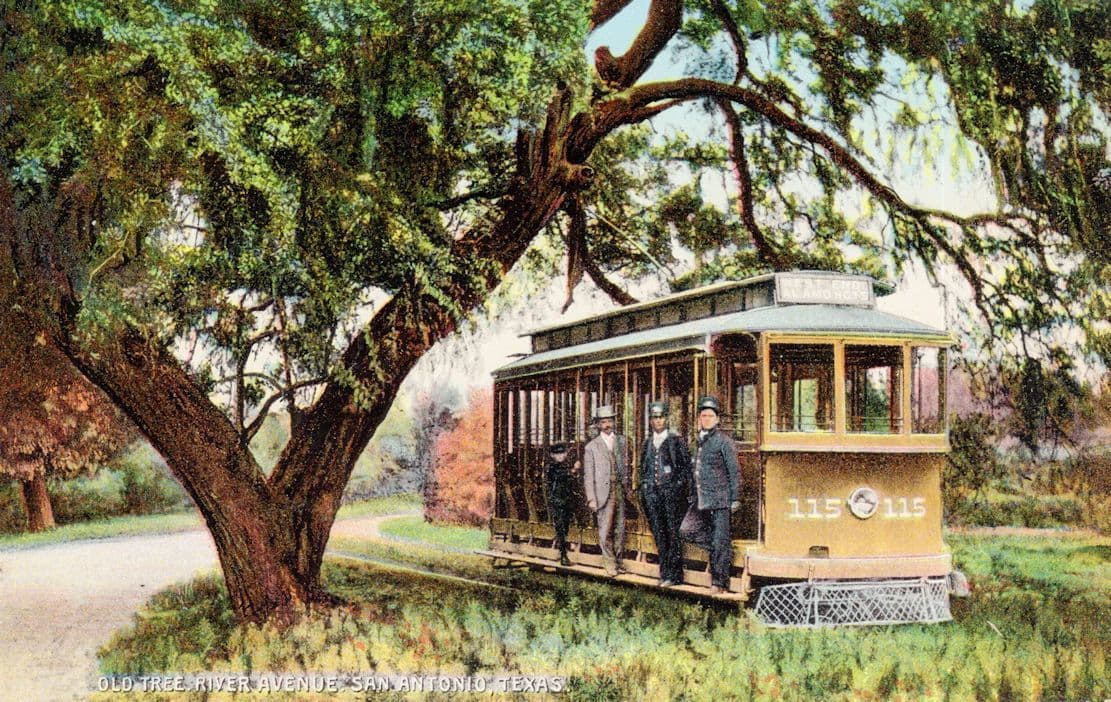 San Antonio Texas Old Tree River Avenue Trolley Railroad USA Postcard