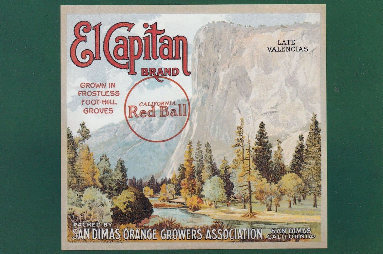 San Dimas Orange Growers Association El Capitan Postcard
