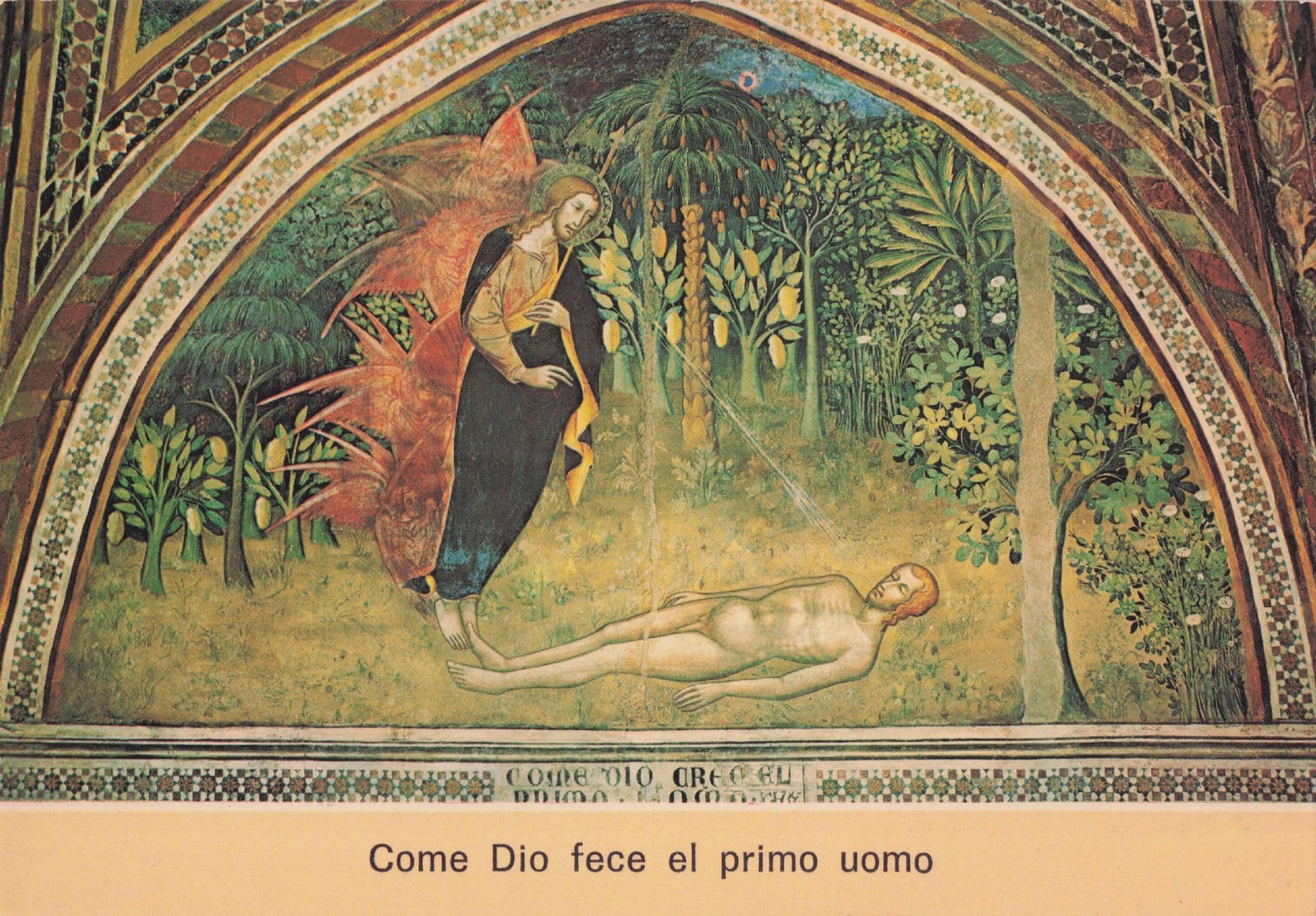 San Gimignano Cathedral Creation Of The World Italian Postcard