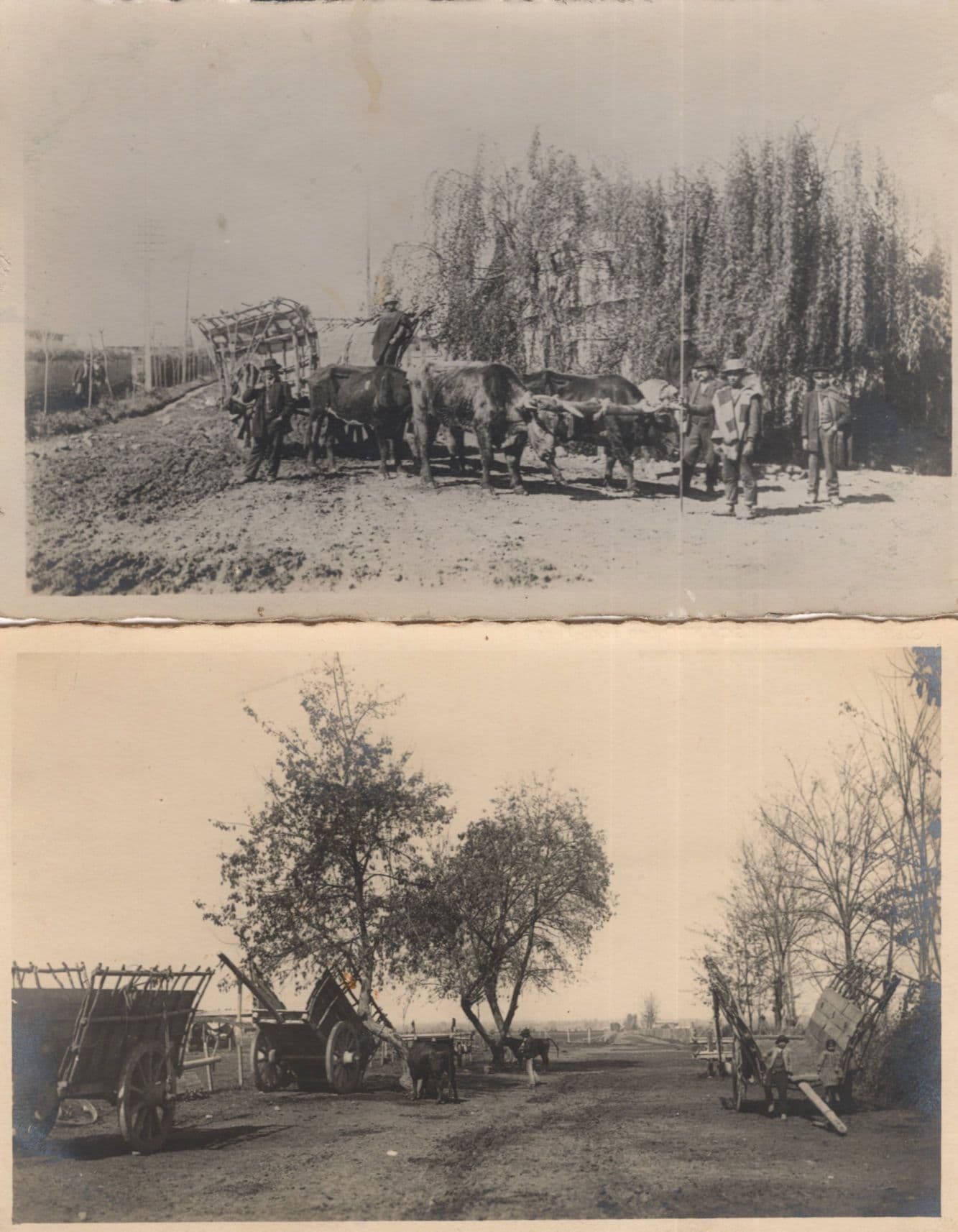 Santiago Chile Farming Transport Farmer 2x Old Postcard s