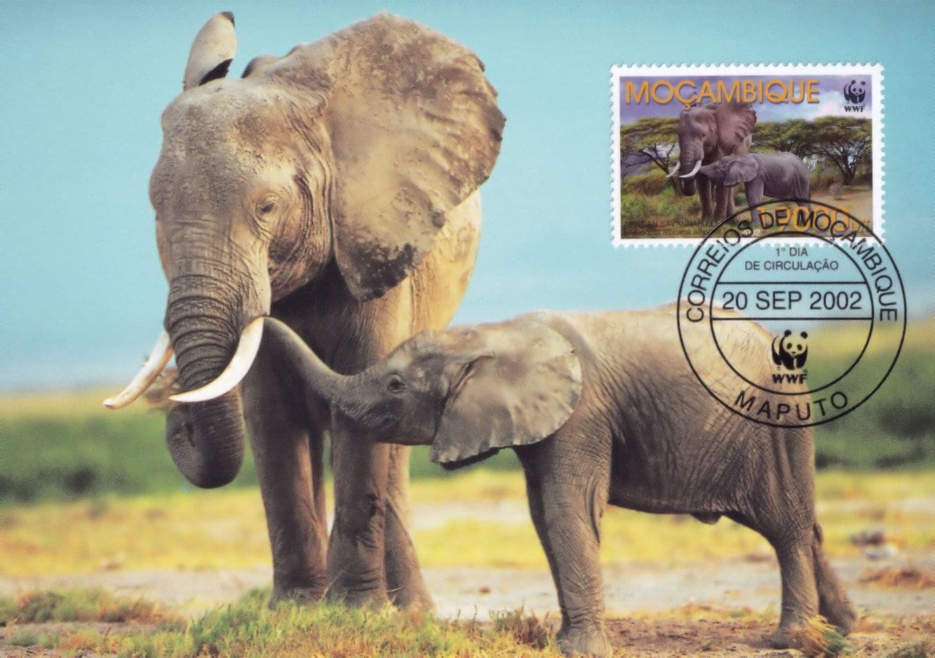 Savannah Elephant Mocambique Maputo WWF Stamp FDC Postcard
