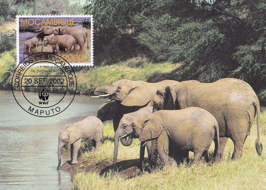 Savannah Elephant Mocambique Rare WWF Stamp First Day Cover Postcard