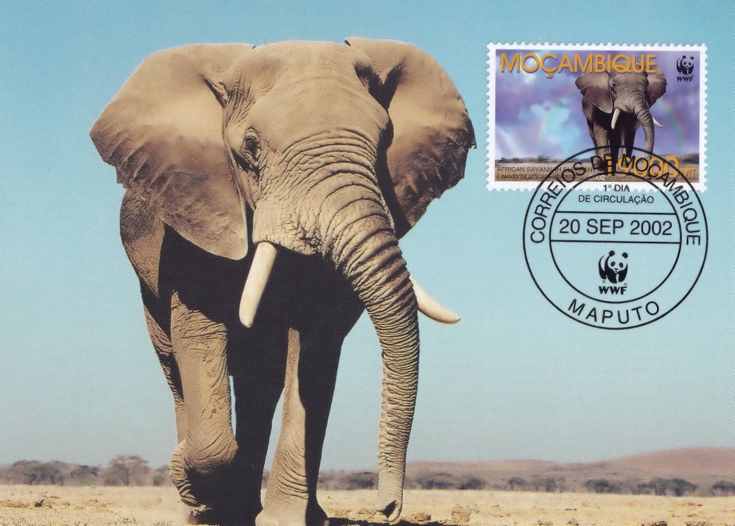 Savannah Elephant Mocambique WWF Stamp First Day Cover Postcard