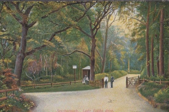 Scarborough Lady Ediths Drive Antique Postcard