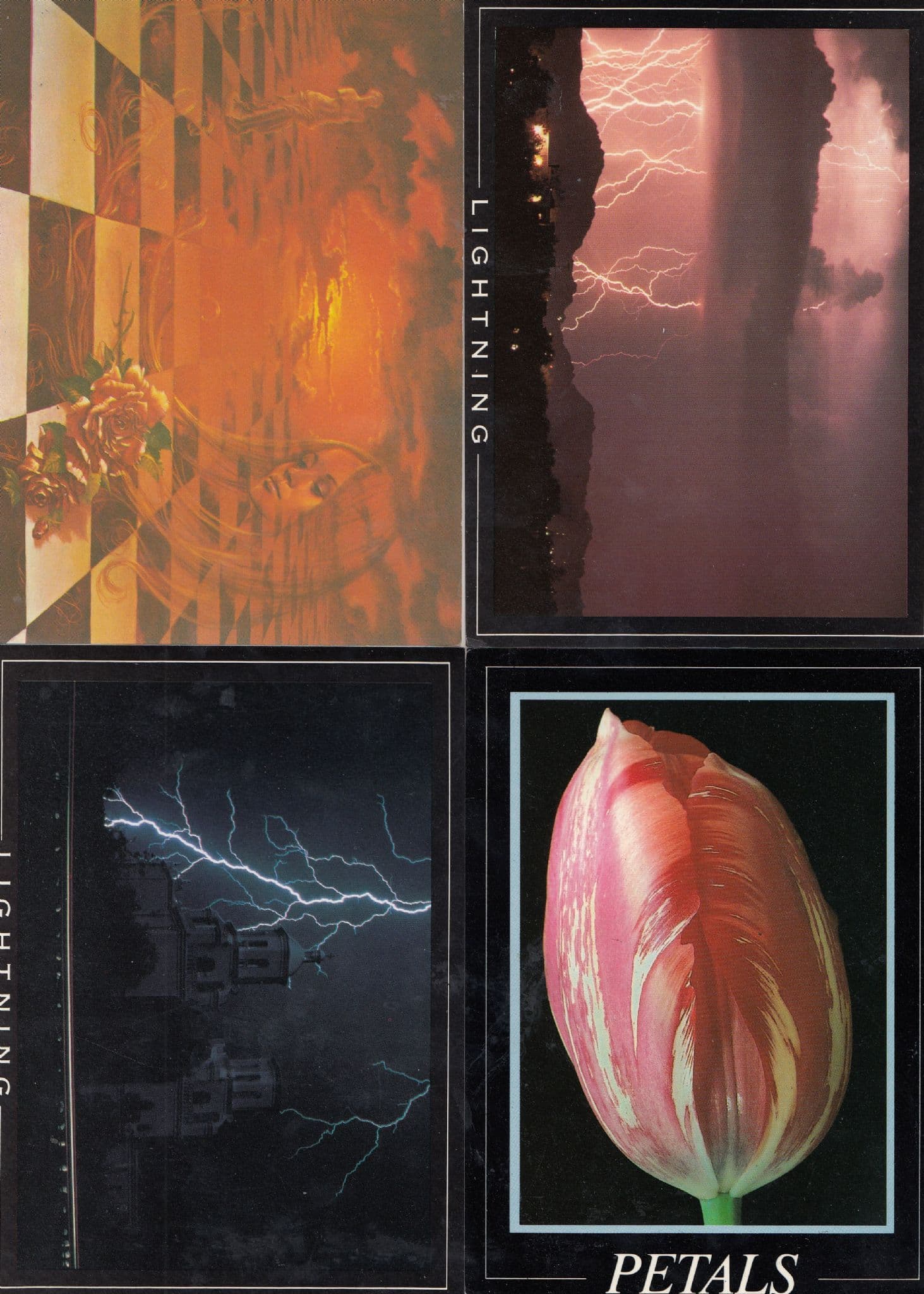 Sceptre De La Rose Lightning Petals 4x Athena 1970s Art Painting Postcard s