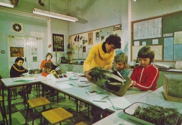 School Nature Teacher Classroom Pelham Herts Hertfordshire Electricity Postcard