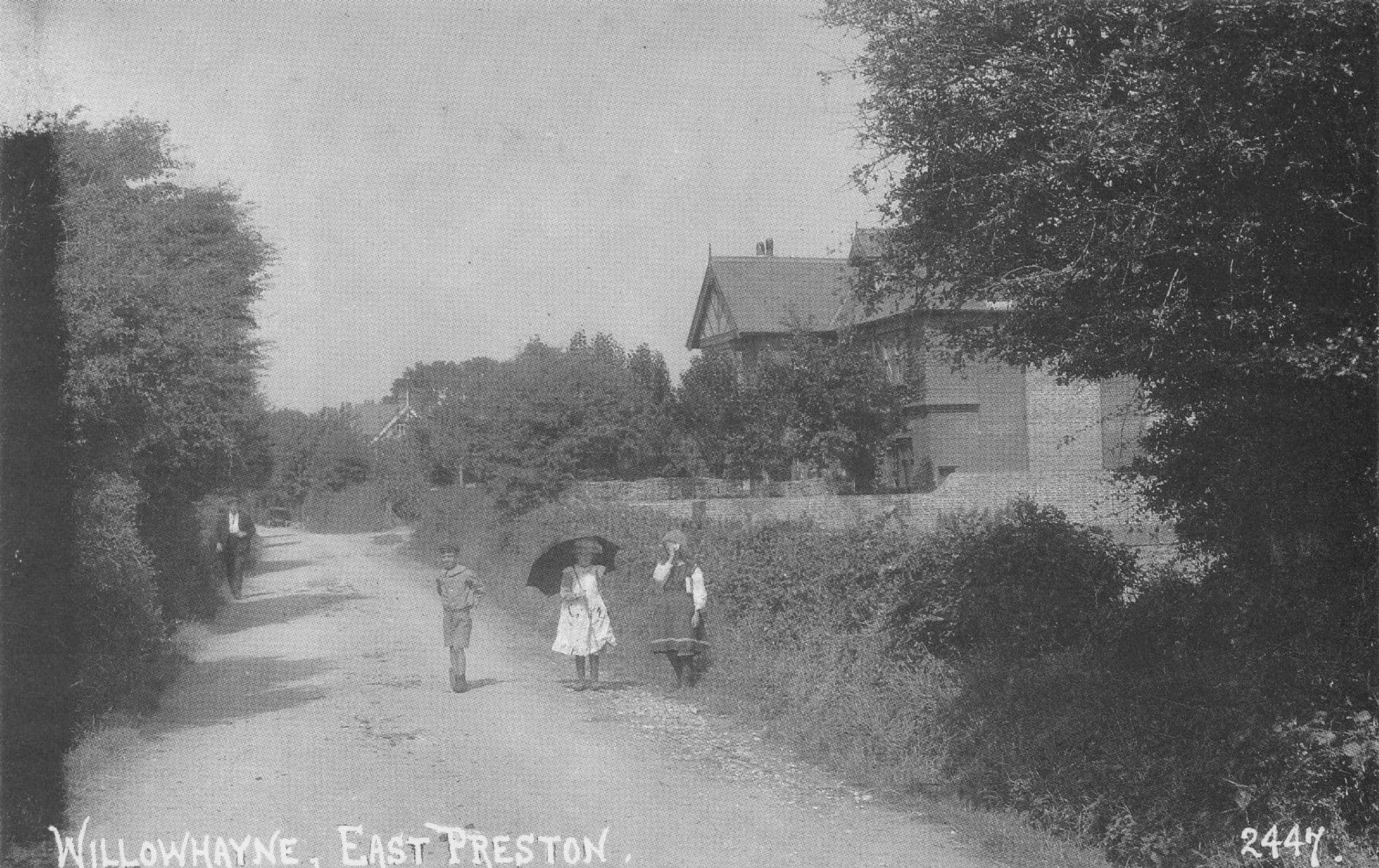 Sea Road Willowhayne Village Green Preston Street Sussex Postcard