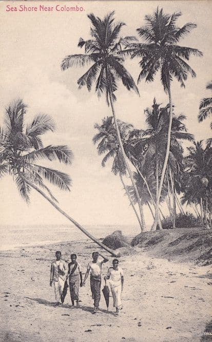 Sea Shore Near Colombo Ceylon Old Postcard