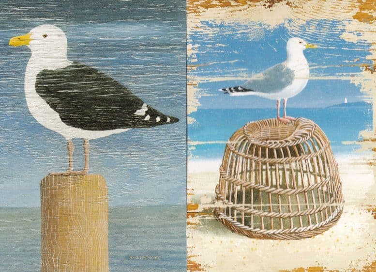 Seagull On Lobster Pot Martin Wiscombe 2x Painting Postcard