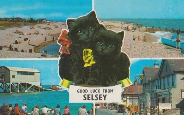 Selsey Sussex Life Boat Station Black Cat Fishing Beach 1970s Postcard