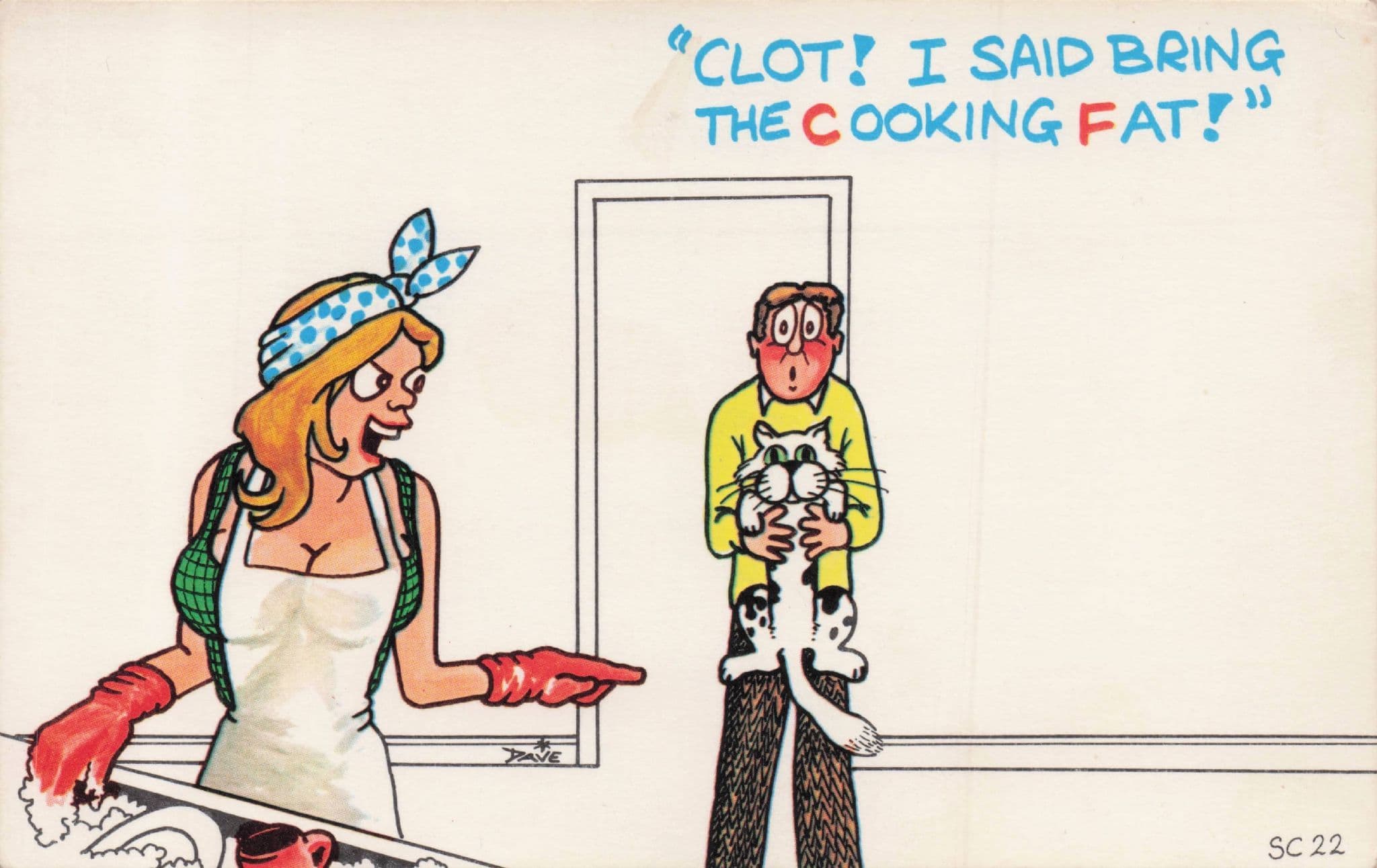 Sexy Lady Washing Up Cat For Dinner Cooking Fat Old Comic Postcard