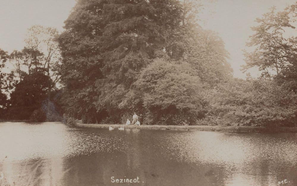 Sezincot Gloucester River Reflections Feeding Ducks RPC Postcard
