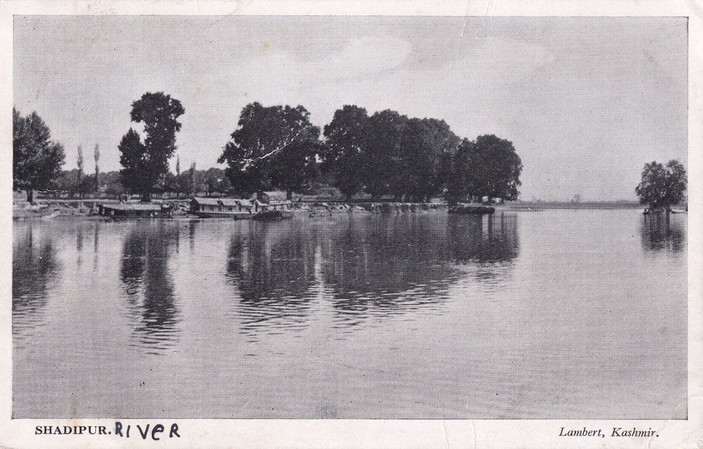 Shadipur Shahdadpur River Sindh Pakistan Antique Postcard