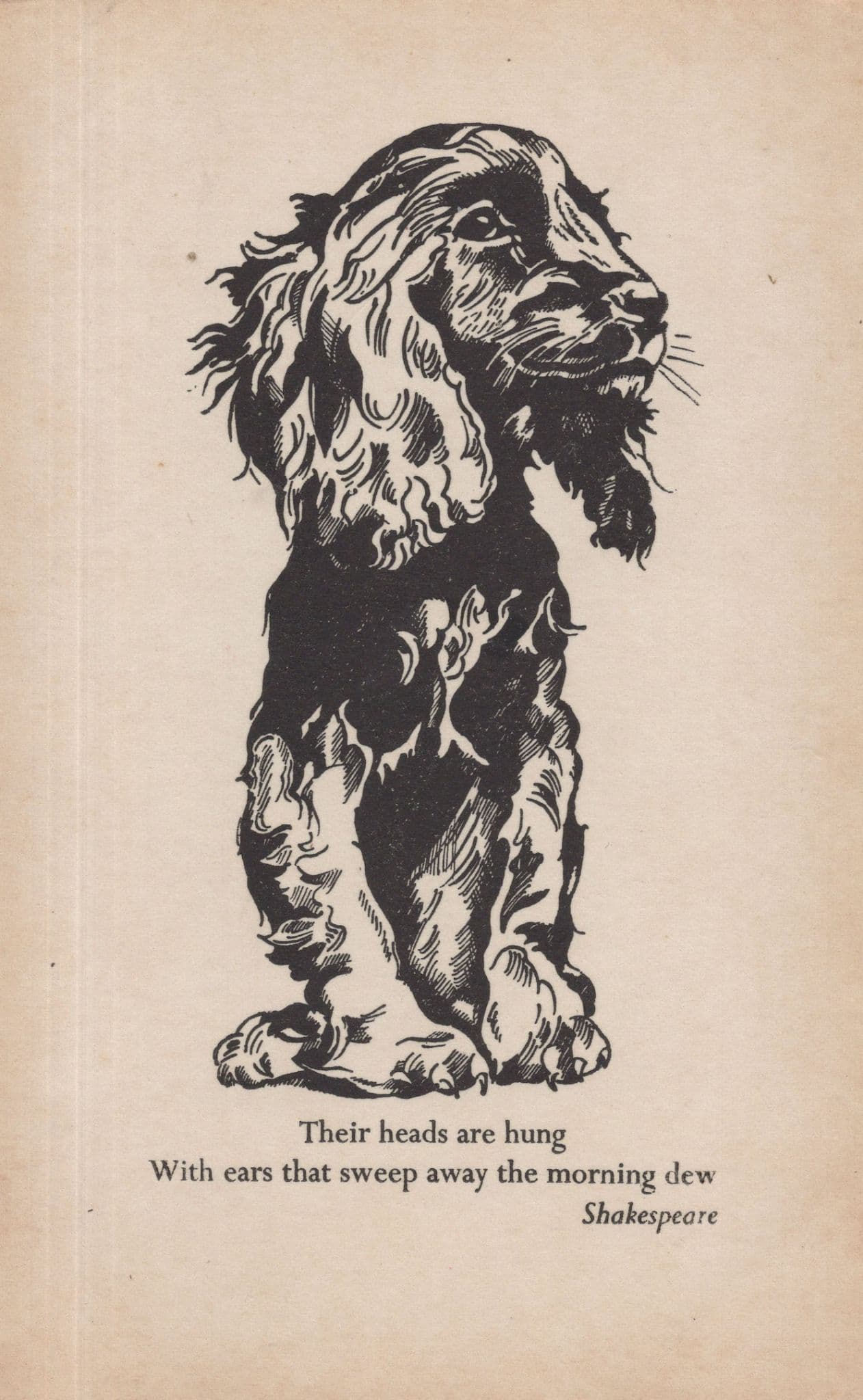 Shakespeare Dog Hand Printed Old Postcard at Woodstock Oxon