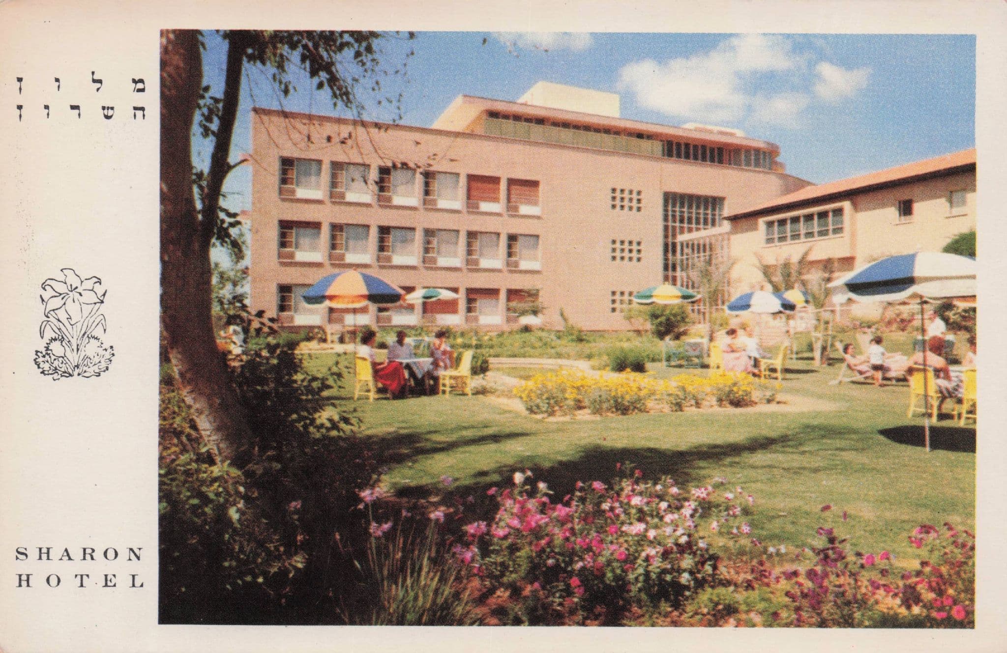 Sharon Hotel Herzlia On Sea Tel Aviv Israel Rare Postcard