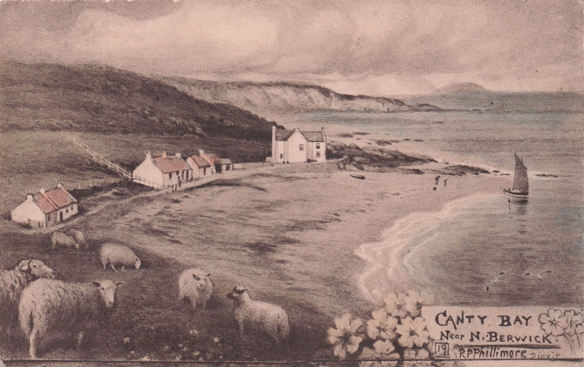 Sheep Corby Bay North Berwick Old R Phillimore Painting Postcard