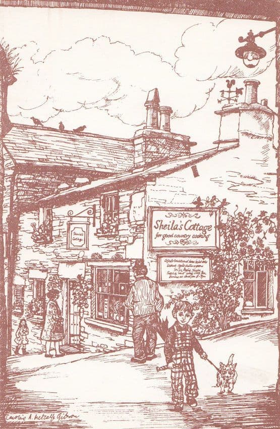 Sheilas Cottage The Slack Ambleside Cumbria Pet Dog Artist Drawing Postcard