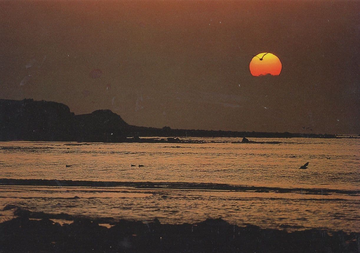 Shell Island At Sunset Y Machlud Ym Mochras Welsh Postcard