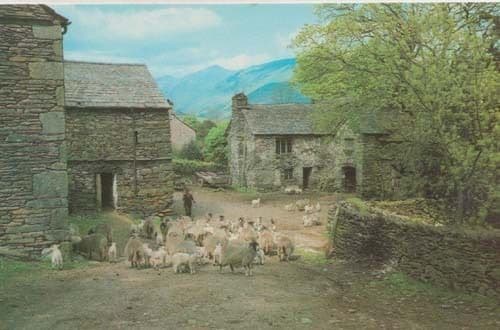 Shell & Loch Duich Vintage Aerial Birds Eye Real Photo Postcard
