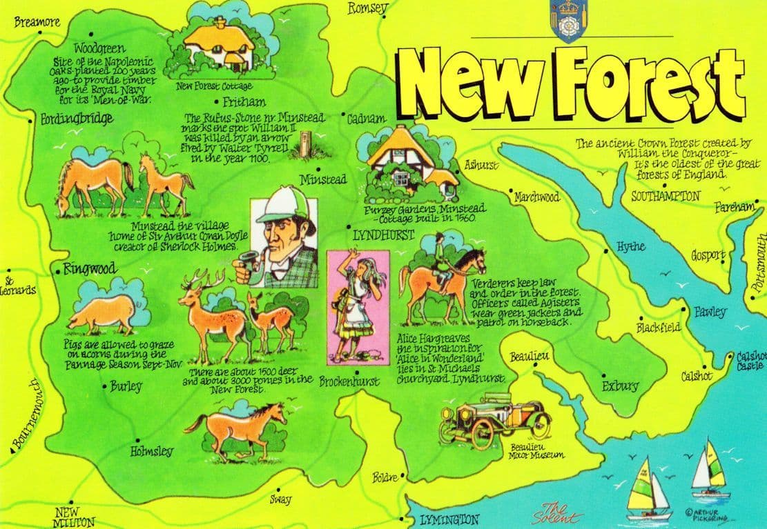 Sherlock Holmes The New Forest Motor Museum Map Cartoon Postcard