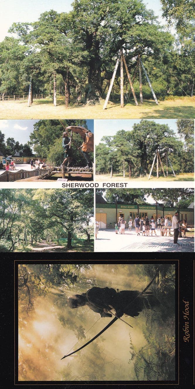 Sherwood Forest Visitors Centre Robin Hood 3x Postcard s