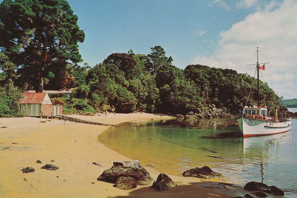 Ship Arriving at Ulva Island Paterson Inlet New Zealand Postcard