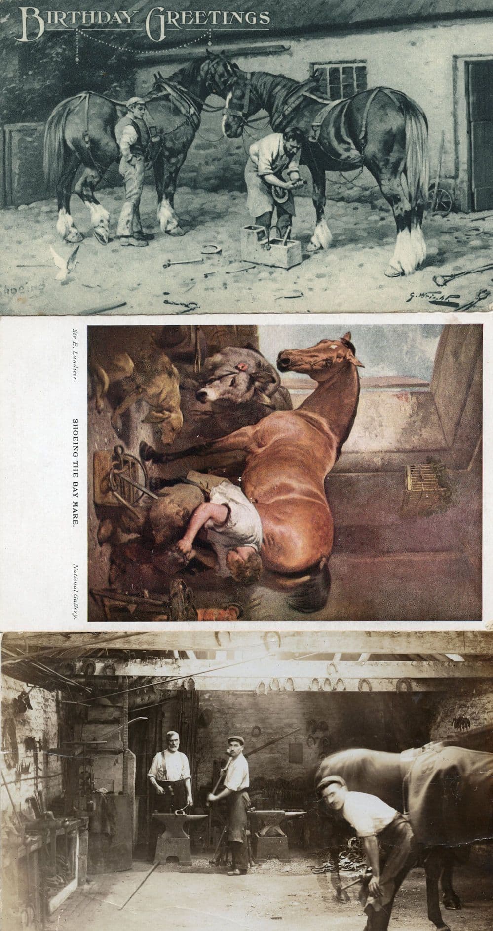 Shoeing The Bay Mare Horse Farming 3x Old Postcard s
