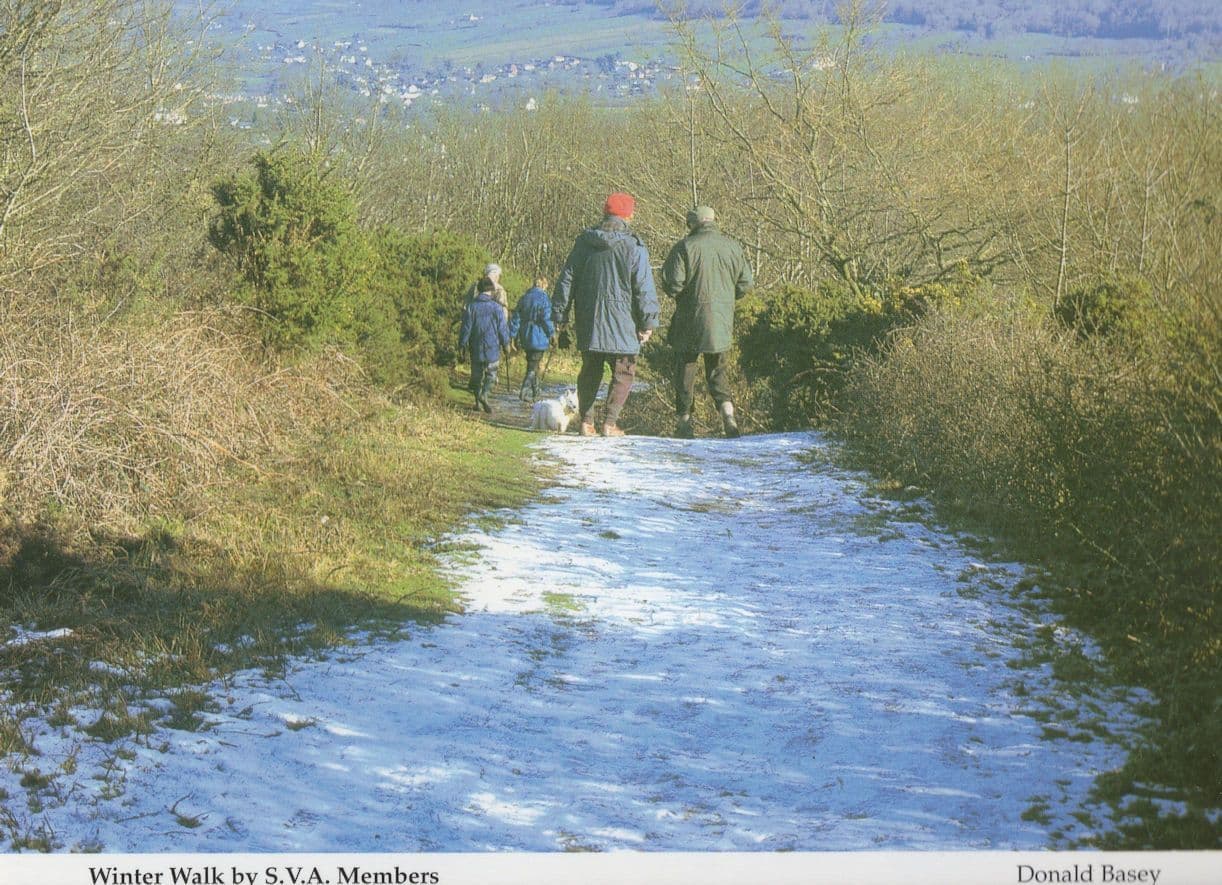 Sid Vale Association Winter Walk Sidmouth Devon Rambling Postcard