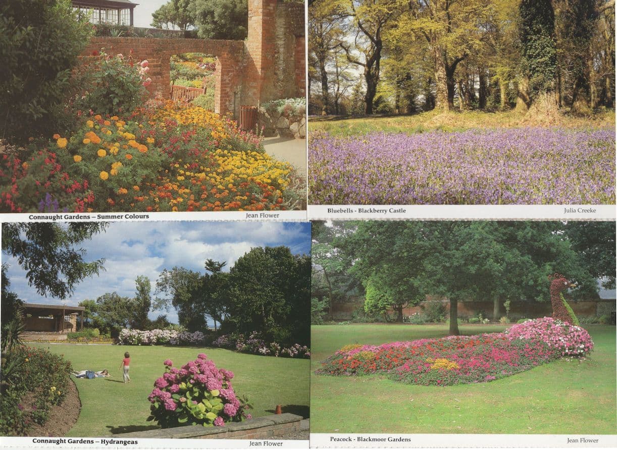 Sidmouth Connaught Gardens Devon 4x Postcard s