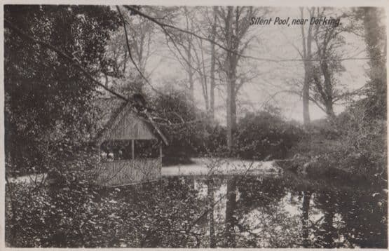 Silent Pool Dorking Vintage Real Photo Surrey Postcard