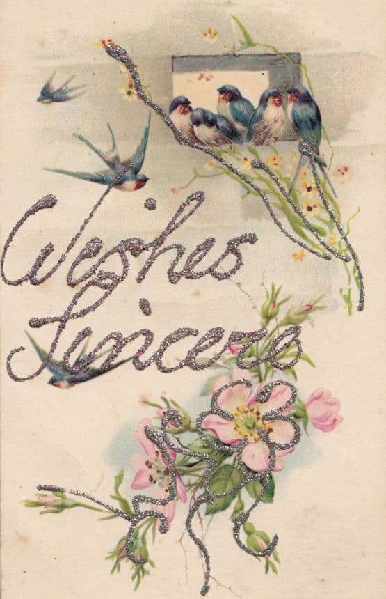 Sincere Greetings Blue Tit Bird REAL GLITTER ANTIQUE Postcard